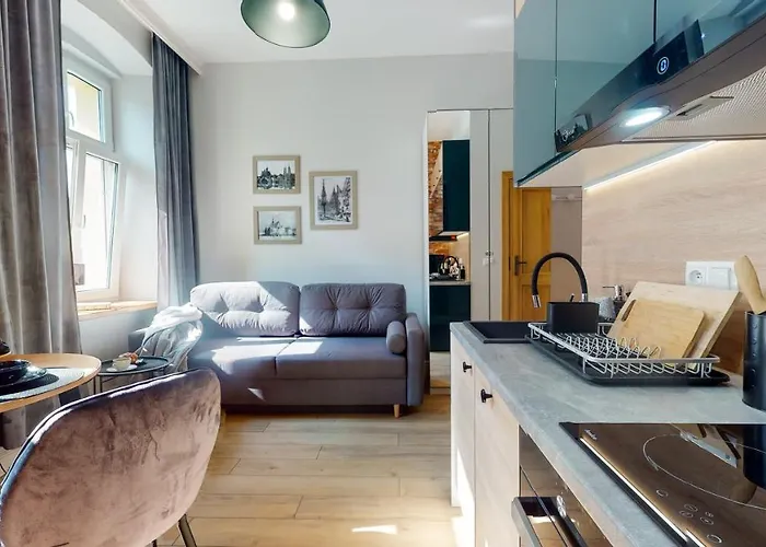 Apartment Loft Prusa 2a *